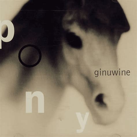 pony songtext|Ginuwine – Pony Lyrics